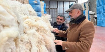 Malatya’da Yünler Ekonomiye Kazandırılıyor!