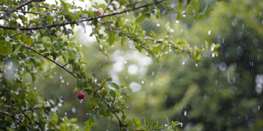 Malatya’da Yağışlı Hava Uyarısı: Soğuk Geliyor!
