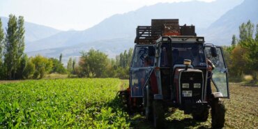 Malatya Çiftçilerine 320 Milyon TL Destek Müjdesi!