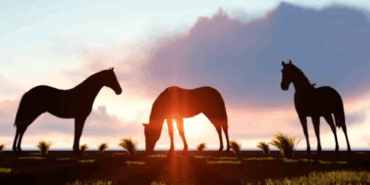 Halit Alpaslan “Özgürlüğün Dağlardaki Adı”nı Yazdı