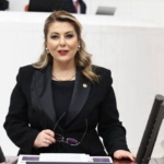 Giresun’daki Dal-Çık Projesi: Belirsizlik ve Tepkiler