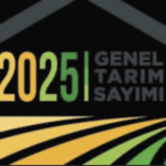 SON GÜNÜ BEKLEMEYİN