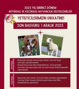 DİKKAT: SON GÜN 1 ARALIK