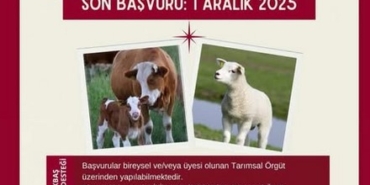 DİKKAT: SON GÜN 1 ARALIK