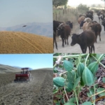 ALADAĞ’IN ETRAFINDA ÖLDÜK ÖLDÜK DİRİLDİK