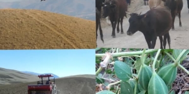 ALADAĞ’IN ETRAFINDA ÖLDÜK ÖLDÜK DİRİLDİK