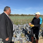 TARSİM Çok Pahalı !!