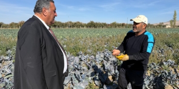 TARSİM Çok Pahalı !!