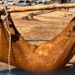 OTANTİK YAYIK (DOKA – MAŞK)