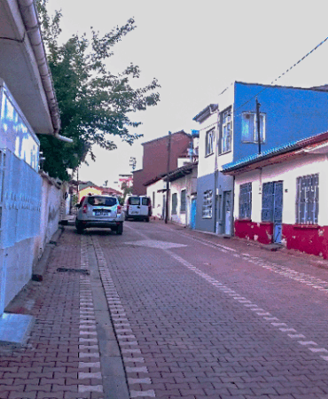 Ödüllü Romancı Belediyeye İsyan Etti