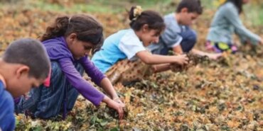 Çocuk Hakları Günü: Türkiye’nin Karanlık Tablosu