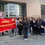 Kedilerin Adliyeden Sürülmesi Kararından Vazgeçildi!