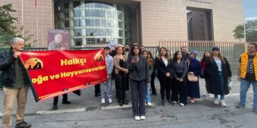 Kedilerin Adliyeden Sürülmesi Kararından Vazgeçildi!