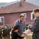 Kimliklendirme Devam ediyor