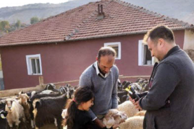 Kimliklendirme Devam ediyor