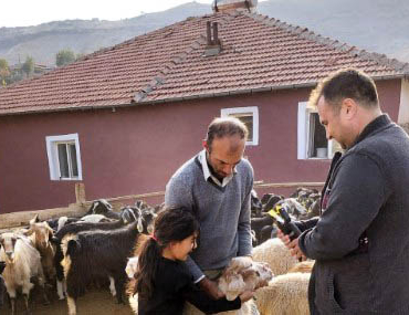 Kimliklendirme Devam ediyor