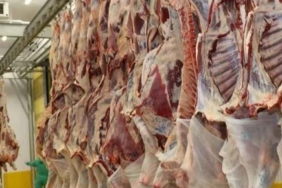 Sözleşme Tamam. Yine İthal Et Geliyor