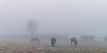 Malatya’da Bugün Sis ve Pus Bekleniyor!