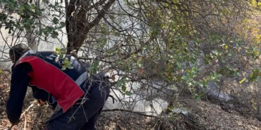 Adıyaman’da Ormanlık Alanda Korkutan Yangın!