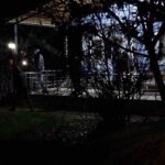 Arkadaş Grubunda Silah Kazası: 1 Yaralı