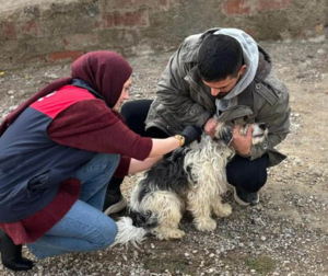 Yazıhan’da Çoban Köpeklerine ve Evcil Hayvanlara Çip ve Kuduz Aşısı Uygulaması