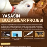 Kampanya Başvuruları Başladı