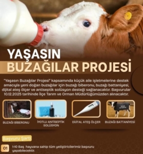 Kampanya Başvuruları Başladı