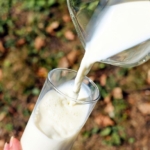 Çiğ Süt Fiyatı Acilen Güncellenmeli