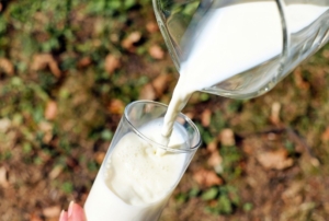 Çiğ Süt Fiyatı Acilen Güncellenmeli