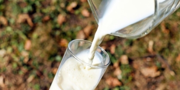 Çiğ Süt Fiyatı Acilen Güncellenmeli