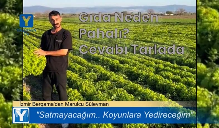 BERGAMA’DA MARUL İSYANI