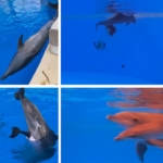 Yunus Parkında Yasadışı Üretim İddiası