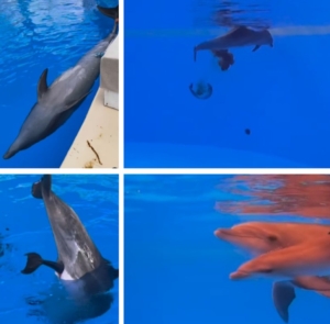 Yunus Parkında Yasadışı Üretim İddiası