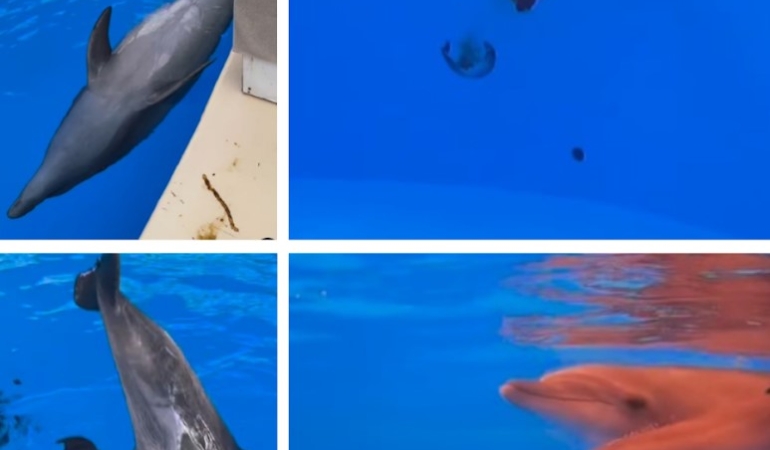 Yunus Parkında Yasadışı Üretim İddiası